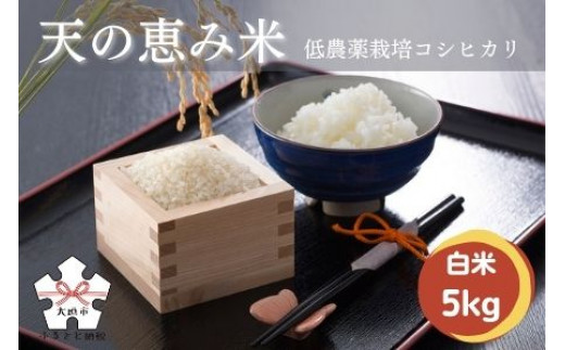 天の恵み米<里山『上石津』のコシヒカリ>5kg岐阜県大垣市8000米・パン白米
