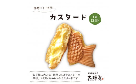 大垣屋の贅沢カスタード鯛焼き 12匹入り岐阜県大垣市10000菓子・スイーツその他 和菓子