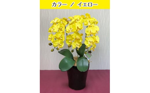 光触媒造花胡蝶蘭 3本立(イエロー)岐阜県大垣市45000衣類・装飾品・工芸品その他 装飾品・工芸品