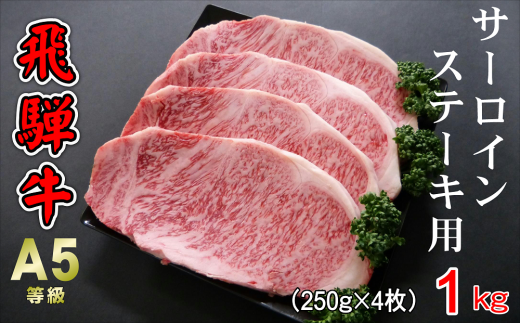 A5等級飛騨牛 サーロインステーキ用 1kg(250g×4枚)岐阜県大垣市63000肉牛肉