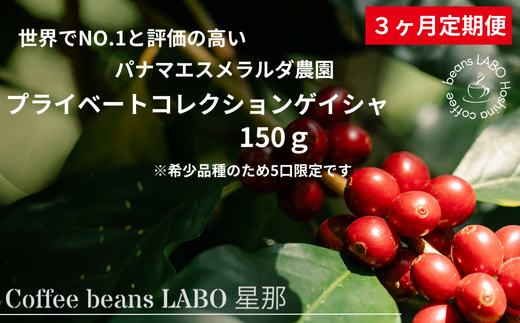 【定期便3ヶ月】パナマエスメラルダ農園 プライベートコレクションゲイシャ 150g岐阜県大垣市75000お茶・飲料コーヒー・紅茶