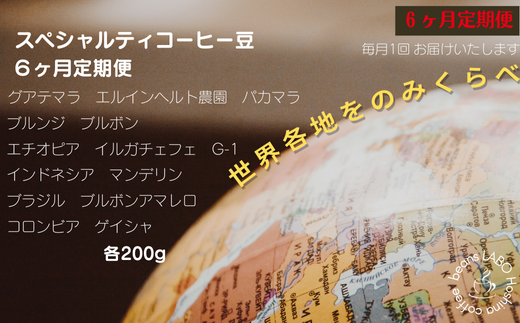 【定期便6ヶ月】世界各地をのみくらべ スペシャルティコーヒー豆 定期便 粉岐阜県大垣市78000お茶・飲料コーヒー・紅茶