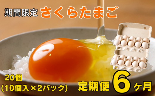 【卵 定期便 6カ月 6回】特選 さくらたまご 20個(10個入×2パック) たまご岐阜県大垣市36000卵・乳製品卵(鶏、烏骨鶏等)