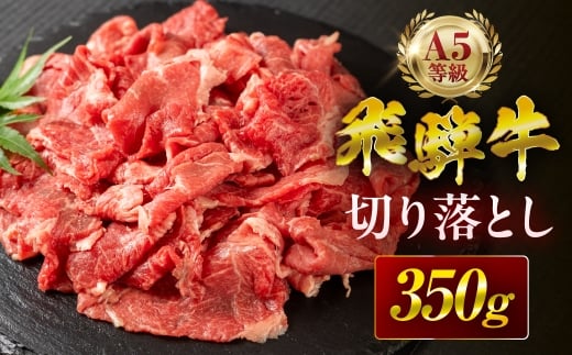 飛騨牛 A5 切り落とし 350g 訳あり ご自宅用 不揃い 小間切れ 焼肉 BBQ 牛肉 肉 黒毛和牛 国産 最上級 厳選 ブランド牛 お取り寄せ 高級 冷凍 プレゼント ギフト お祝い 記念 中部ミート 岐阜県