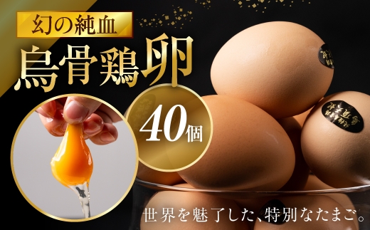 烏骨鶏卵 モールド 40個セット (10個入 × 4パック) たまご 卵 玉子 鶏 高級 高級卵岐阜県大垣市48000卵・乳製品卵(鶏、烏骨鶏等)
