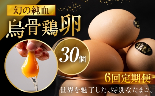 【定期便 6ヶ月】烏骨鶏卵 モールド 30個セット (10個入 × 3パック) たまご 卵 玉子 鶏 高級 高級卵岐阜県大垣市216000卵・乳製品卵(鶏、烏骨鶏等)