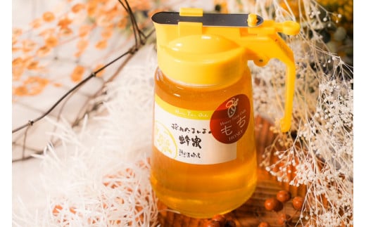 【国産蜂蜜】くろがねもち蜂蜜450gパッカー容器岐阜県大垣市12000鍋セット・総菜・加工食品ジャム・はちみつ