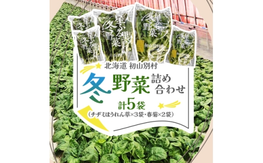 <北海道 初山別村>冬野菜詰め合わせ5袋(チヂミほうれん草×3袋・春菊×2袋)【1665017】北海道初山別村15000野菜・きのこその他 野菜