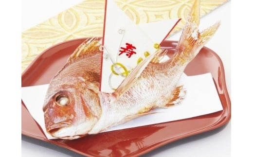 祝い鯛姿焼き 国産天然鯛岐阜県10000鍋セット・総菜・加工食品総菜