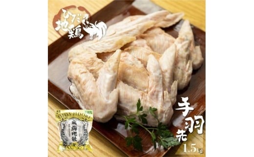 飛騨地鶏の手羽先1.5kg(500gx3) 003岐阜県10000肉鶏肉