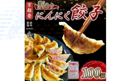 訳あり にんにく 餃子 100個 冷凍 ぎょうざ ギョウザ ギョーザ 豚肉 便利 簡単調理 惣菜 絶品 おかず お子様 家族 豚肉餃子 こだわり餃子 餃子 人気餃子 簡易包装餃子 訳あり餃子 訳アリ 冷凍