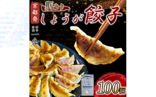 訳あり しょうが 餃子 100個 冷凍 ぎょうざ ギョウザ ギョーザ しょうが 生姜 豚肉 便利 簡単調理 惣菜 絶品 おかず お子様 家族 こだわり餃子 餃子 人気餃子 簡易包装餃子 訳あり餃子 訳アリ