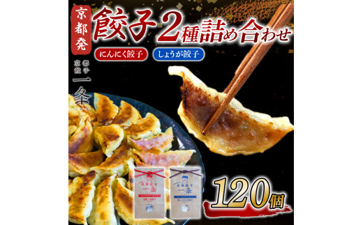 選べる 餃子 2種詰め合わせセット にんにく餃子 & しょうが餃子  120個  冷凍 ぎょうざ ギョウザ ギョーザ しょうが 生姜 豚肉 便利 簡単調理 惣菜 絶品 おかず お子様 家族 こだわり餃子 餃
