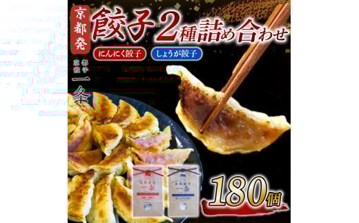 選べる 餃子 2種詰め合わせセット にんにく餃子 & しょうが餃子  180個  冷凍 ぎょうざ ギョウザ ギョーザ しょうが 生姜 豚肉 便利 簡単調理 惣菜 絶品 おかず お子様 家族 こだわり餃子 餃