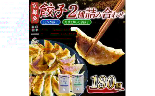 選べる 餃子 2種詰め合わせセット しょうが餃子 & 丹波とりしそ京餃子  180個  冷凍 ぎょうざ ギョウザ ギョーザ しょうが 生姜 豚肉 便利 簡単調理 惣菜 絶品 おかず お子様 家族 こだわり餃