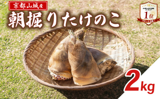 ys\zsRY @肽̂ 2kg  q @ VN s  |̎q ̂ ̂ Y sR Y   Y ݂ ϕ { t 蒬 y237zs{