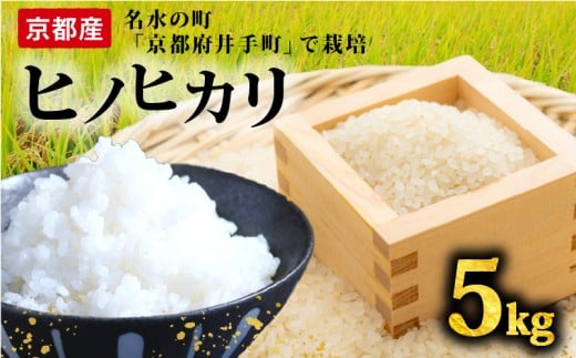 【先行予約】ヒノヒカリ 5kg 12回定期便 令和7年産 定期便 精米 白米  お米 米 こめ ご飯 おにぎり 弁当 産地直送 国産 京都産 井手町京都府井手町144000米・パン白米