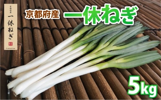 s{Y x˂ 5kg ˂ lM K K ˂  ₳  Yn  VN  ƒp Ɩp Y { 蒬 ss{蒬14000؁Êʂ˂E˂