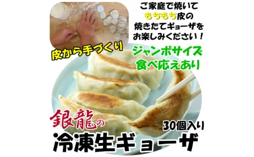 冷凍餃子30個【1662754】東京都多摩市11000鍋セット・総菜・加工食品総菜