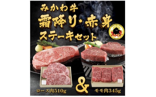 IOq݂틍@~EԐgXe[LZbgy1556763zmcs50000