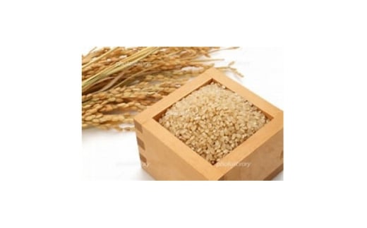 令和7年産 稲穂のしずく 玄米 10kg【1677350】愛知県半田市30000米・パン玄米・雑穀米・もち米・餅