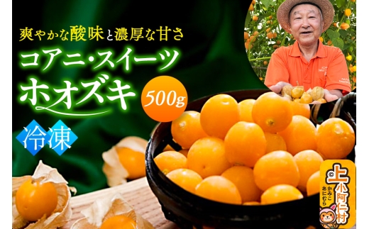 sⓀtRAjEXC[czIYL 500g ق S[fx[ X[p[t[h イ낤_Hc㏬m16000؁Ê̑ 