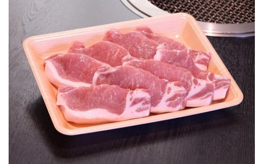 ヤマトポーク とんかつ用 500g奈良県10000肉豚肉