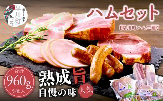 쒬n H[ZbgR쒬18000HinE\[Z[Wj
