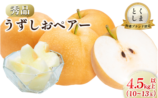 【2026年先行予約】梨 なし 4.5kg以上 10〜13玉 3L〜5Lサイズ 2026年 8月順次発送 うずしおペアー 果物 フルーツ デザート 旬 新鮮 季節 秋 人気 おすすめ ギフト プレゼント 贈答 贈り物 家庭用 期