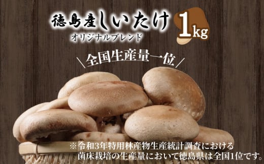  ۏ 1kg ̂   ő Z ƒp     NHi N ① Y 9000؁Ê̑ 