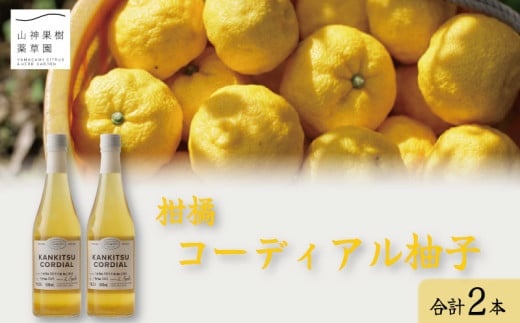 ゆず コーディアル 2本 セット 【 ドリンク 柚子 シロップ カクテル カシス 酒 炭酸水 紅茶 かき氷 果物 果実 茶 和 柑橘 高級 ほろよい ギフト お歳暮 ふるさと 100 ビタミン 年 日 徳島 柑橘コ
