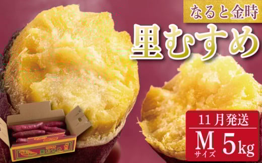 さつまいも 鳴門金時 5kg 2025年11月発送 なると金時 Mサイズ 里むすめ 芋 野菜 スイーツ スイート チップス 棒 箱 詰め 紅 甘い お菓子 金時 大学 種類 生 調理 干し芋 焼き芋 ホクホク ケーキ