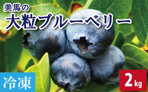 u[x[ 嗱 2kg Ⓚ ʕ t[c fU[g { VN G  lC P[L  Mtg v[g  蕨 ƒp Ԍ  n 25000ʕEt[c