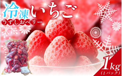 冷凍 いちご 苺 1パック 1kg うずしおベリー 冷凍イチゴ イチゴ 果物 ストロベリー フルーツ デザート 氷菓 スイーツ アイス スムージー 旬 新鮮 季節 冬 人気 ケーキ おすすめ ギフト プレゼ