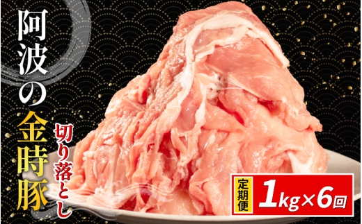 阿波の金時豚 豚肉 切り落とし 定期便 6回 1kg (500g×2) ブランド豚 金時豚 小分け 真空パック 冷凍 国産 赤身 ウデ モモ 生姜焼き 野菜炒め 豚汁 豚丼 中華炒め 豚こま 鍋 ポークカレー カレー