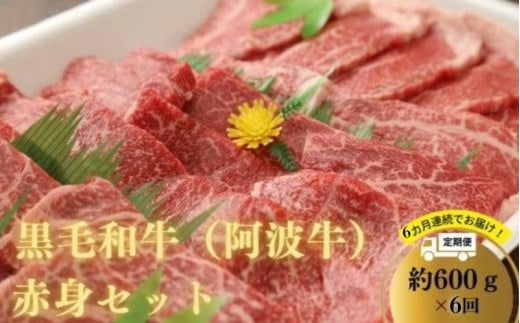 【定期便6回】 阿波牛 赤身焼肉セット 600g 冷凍 国産 黒毛和牛 阿波牛 和牛 牛肉 セット 赤身 マル イチボ クリ カメノコ トウガラシ バーベキュー BBQ徳島県150000肉牛肉