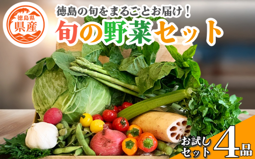 野菜 セット お試し 4品 単品 季節 旬 野菜 詰め合せ 国産 季節 旬 おまかせ 産地直送 春野菜 夏野菜 秋野菜 葉物 果物 果菜 根菜 冷蔵 野菜室 ダイエット 食 栄養食 加工品 カット野菜徳島県80