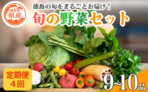 野菜 セット 9〜10品 定期便 4回 季節 旬 野菜 詰め合せ 国産 季節 旬 おまかせ 産地直送 春野菜 夏野菜 秋野菜 葉物 果物 果菜 根菜 冷蔵 野菜室 ダイエット 食 栄養食 加工品 カット野菜徳島