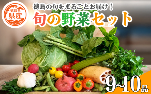 野菜 セット 9〜10品 単品 季節 旬 野菜 詰め合せ 国産 季節 旬 おまかせ 産地直送 春野菜 夏野菜 秋野菜 葉物 果物 果菜 根菜 冷蔵 野菜室 ダイエット 食 栄養食 加工品 カット野菜徳島県15000