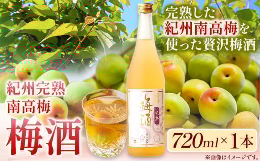 梅酒 紀州完熟南高梅 梅酒 720ml 酒のねごろっく《90日以内に出荷予定(土日祝除く)》和歌山県 岩出市 梅酒 梅 うめ 紀州南高梅 720ml おつまみ おさけ お酒 晩酌 ストック 家飲み 宅飲み お酒