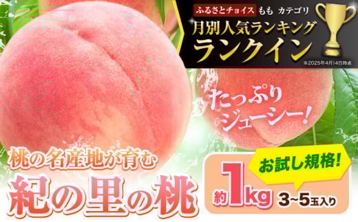  lCLO NC a̎RY I̗̓ 1kg (3-5)s2026N6{-8{oׁt 2026N s\ I̗̓ P 씒P Ȃ  쒆  a