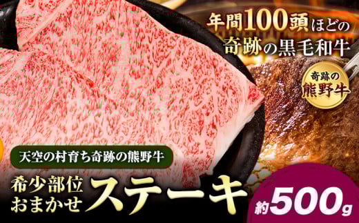 熊野牛 希少部位おまかせステーキ 約500g  有限会社松牛《30日以内に出荷予定(土日祝除く)》 和歌山県 岩出市 希少 肉 牛肉 熊野牛  ステーキ 希少部位 x-1和歌山県岩出市28000肉牛肉
