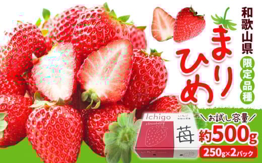 いちご まりひめ 約500g (250g×2パック) JAわかやま 紀の里地域本部《2月中旬-4月中旬頃出荷》和歌山県 岩出市 イチゴ 苺 いちご まりひめ 果物 くだもの フルーツ お試し パック和歌山県岩出市