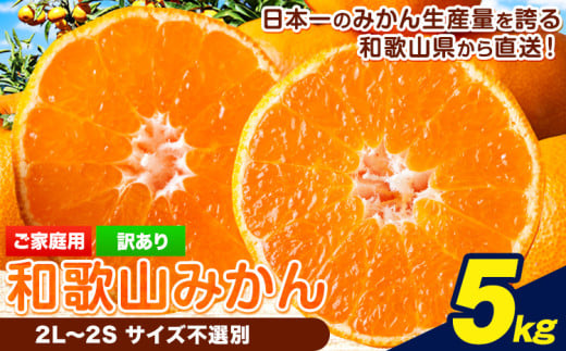 【先行予約】【訳あり/サイズ不選別】 和歌山みかん 約5kg 和歌山県産 《2025年11月中旬-1月中旬頃出荷》たっぷり ご家庭用 2L〜2S 産地直送 みかん 旬 蜜柑 ミカン 柑橘 果物 フルーツ 和歌山