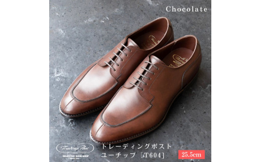 y25.5cmzg[fBO|Xg [`bv[T604]iJ[FChocolatejtPJs239000ߗށEiEH|iCE