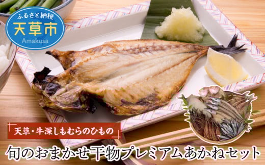 S009-002_天草・牛深 しもむらのひもの 旬のおまかせ干物プレミアムあかねセット熊本県天草市23000魚介・海産物干物