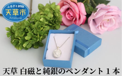 S039-001_V Ə̃y_g 1{F{Vs50000ߗށEiEH|iANZT[