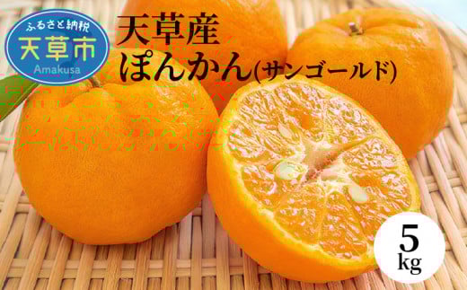 S053-004_VY ۂ񂩂(TS[h)5kgqstrF{Vs13000ʕEt[c݂Ek