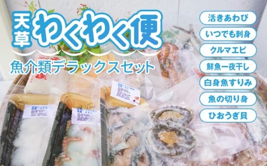 S059-002_天草わくわく便 魚貝類デラックス(活きあわび、車海老パックなど)熊本県天草市22000魚介・海産物