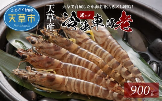 S065-003_活き〆冷凍車海老 900g (400g×1パック・500g×1パック) 活き〆 車海老 真空パック 新鮮 凍結 エビ 天ぷら 豊かな甘み 塩焼き 素材の味 味噌漬け エビフライ 魚介類 天草 冷凍 養殖 シーフー